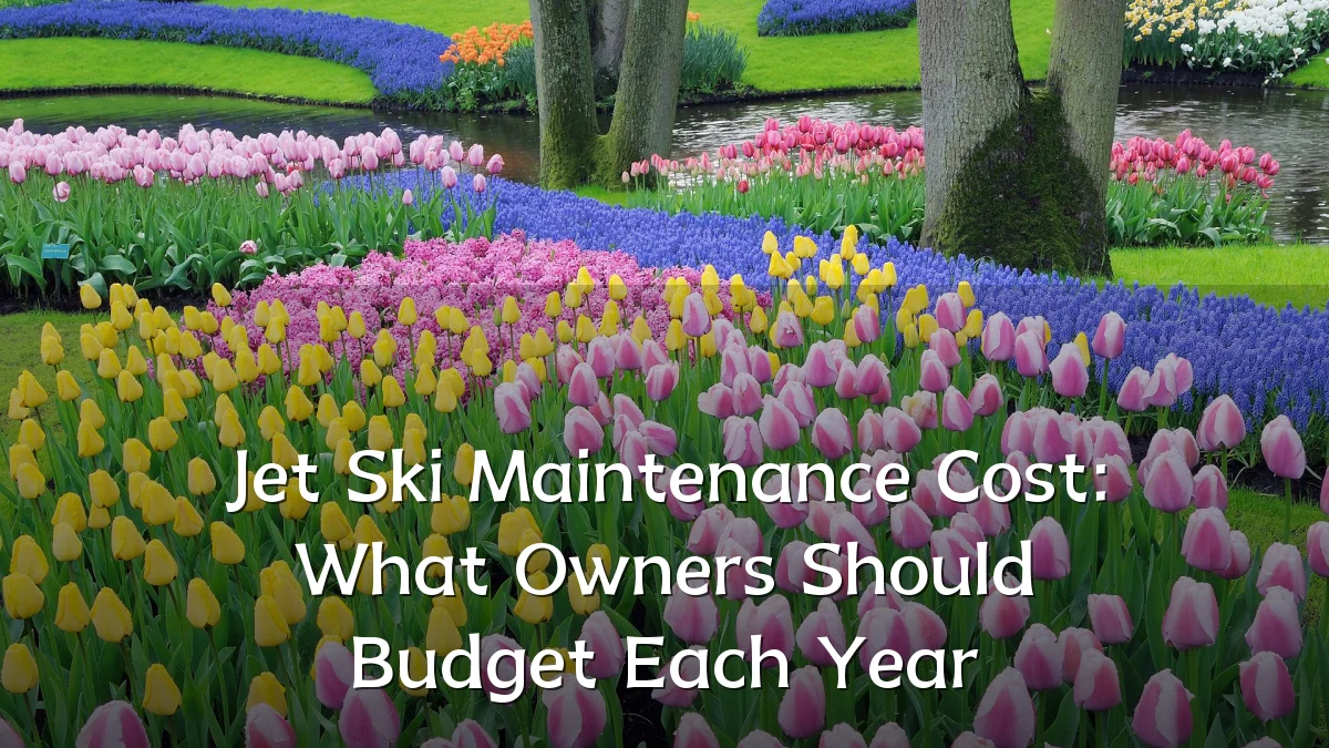 Jet Ski Maintenance Cost: What Owners Should Budget Each Year