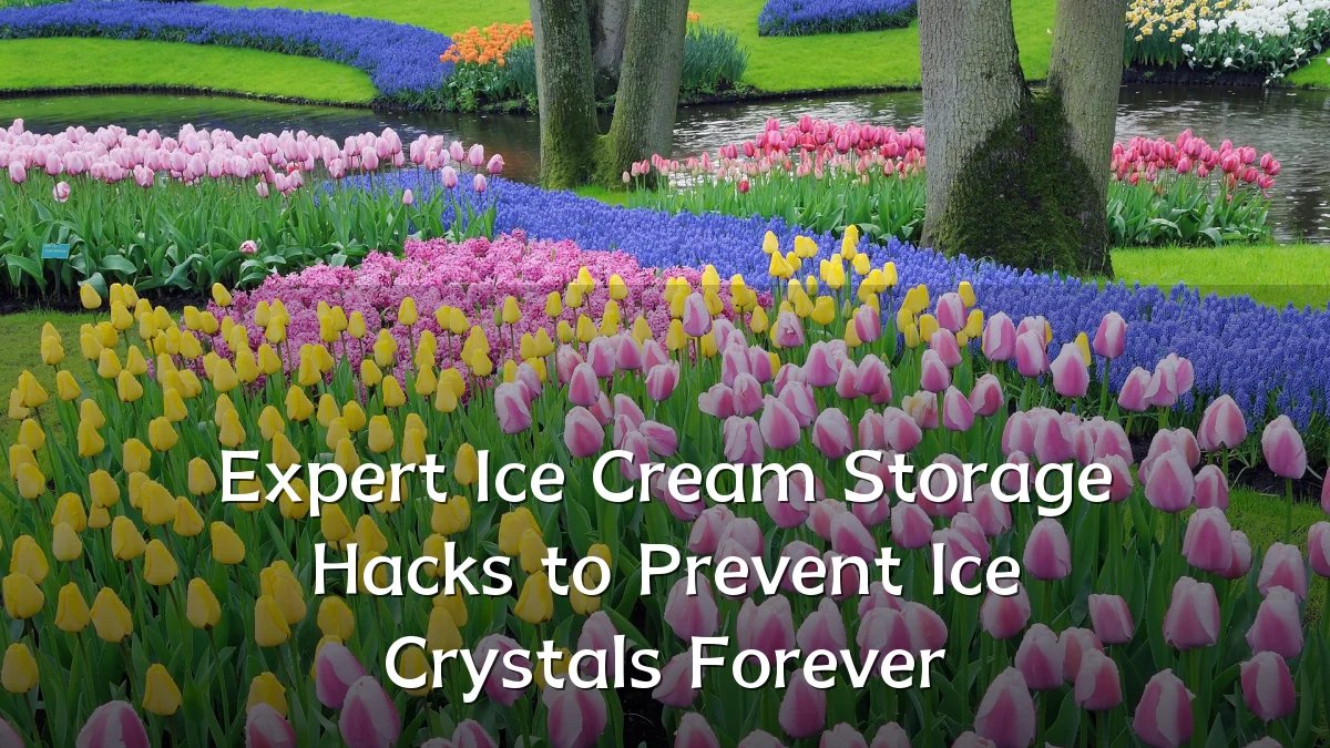 Expert Ice Cream Storage Hacks to Prevent Ice Crystals Forever