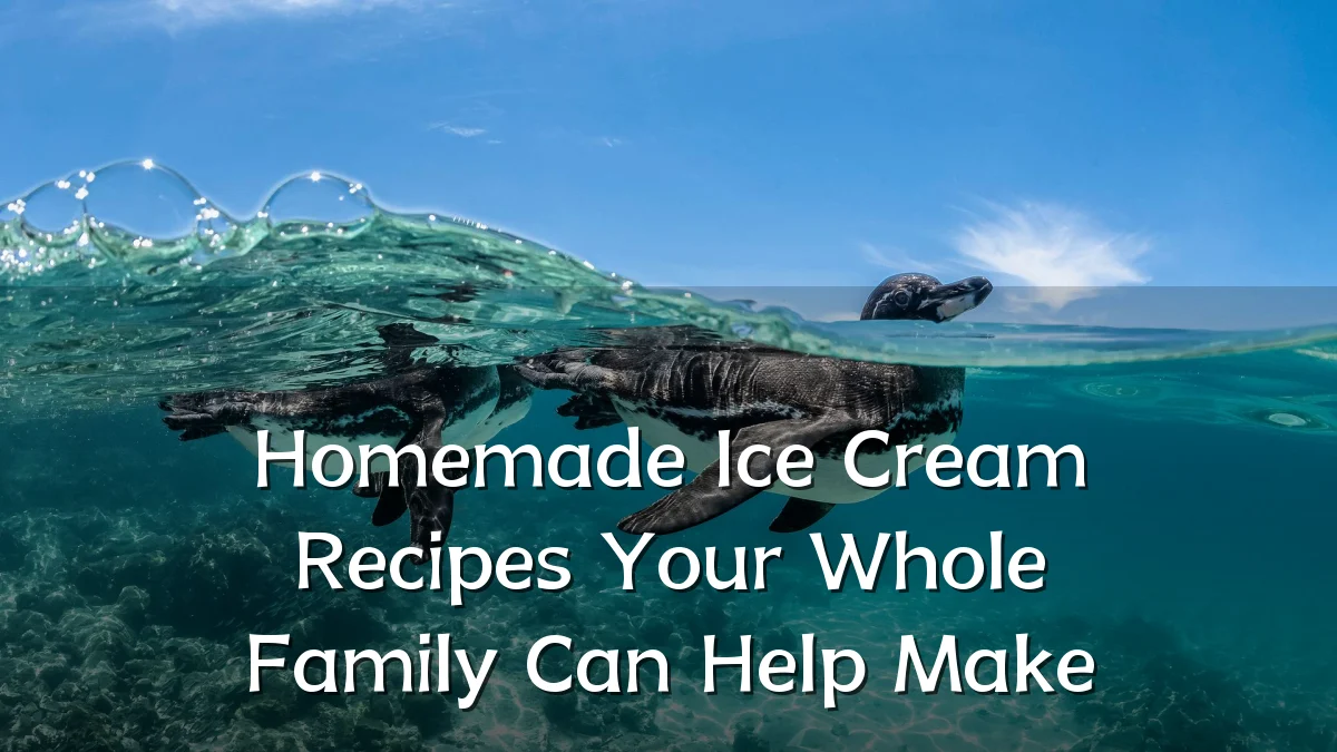 Homemade Ice Cream Recipes Your Whole Family Can Help Make