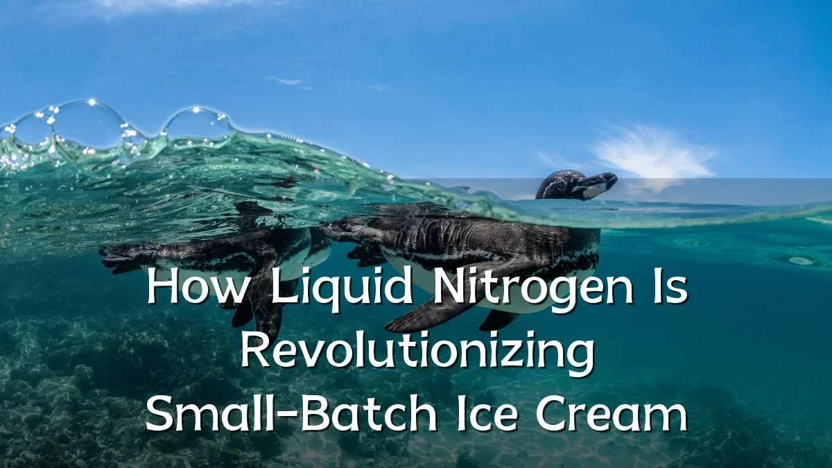 How Liquid Nitrogen Is Revolutionizing Small-Batch Ice Cream