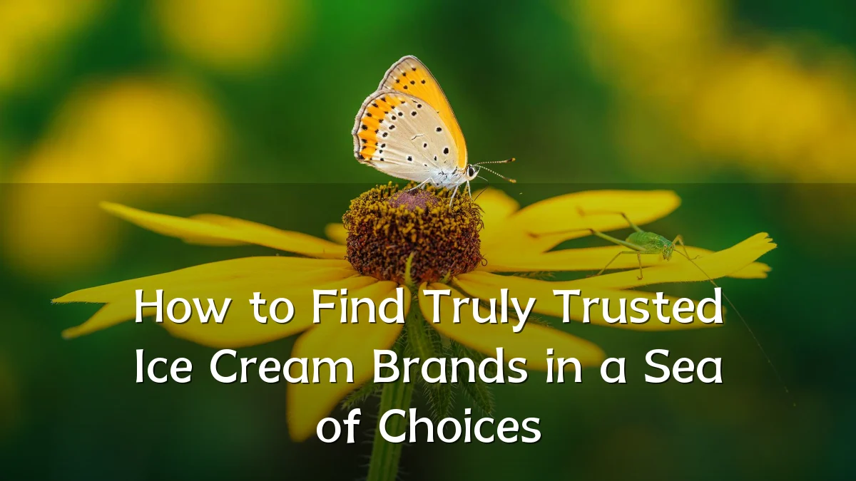 How to Find Truly Trusted Ice Cream Brands in a Sea of Choices