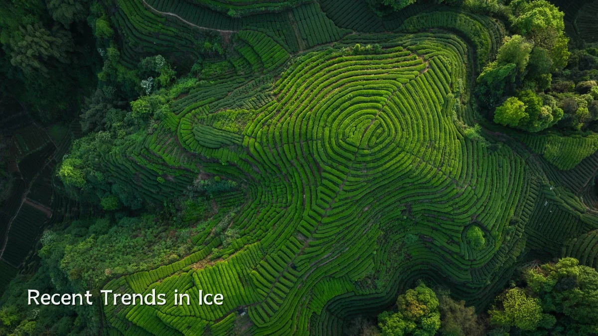 Recent Trends in Ice