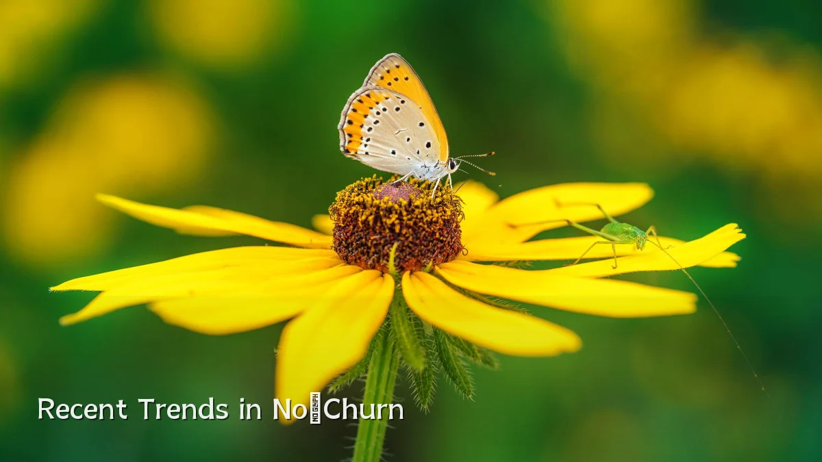 Recent Trends in No‑Churn