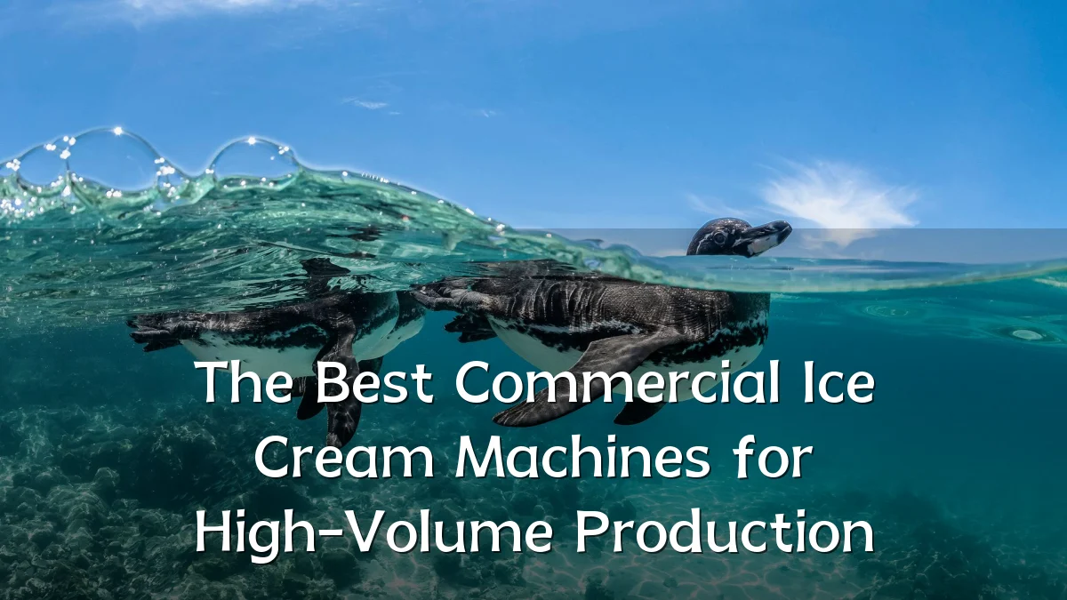 The Best Commercial Ice Cream Machines for High-Volume Production