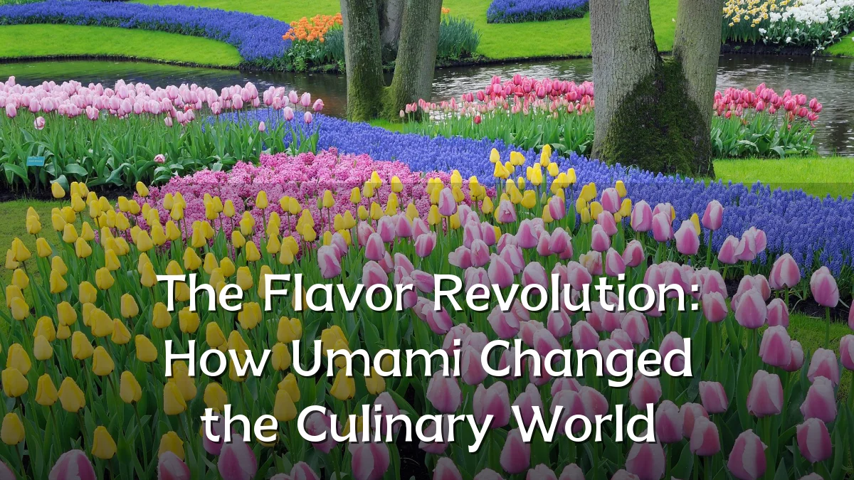 The Flavor Revolution: How Umami Changed the Culinary World