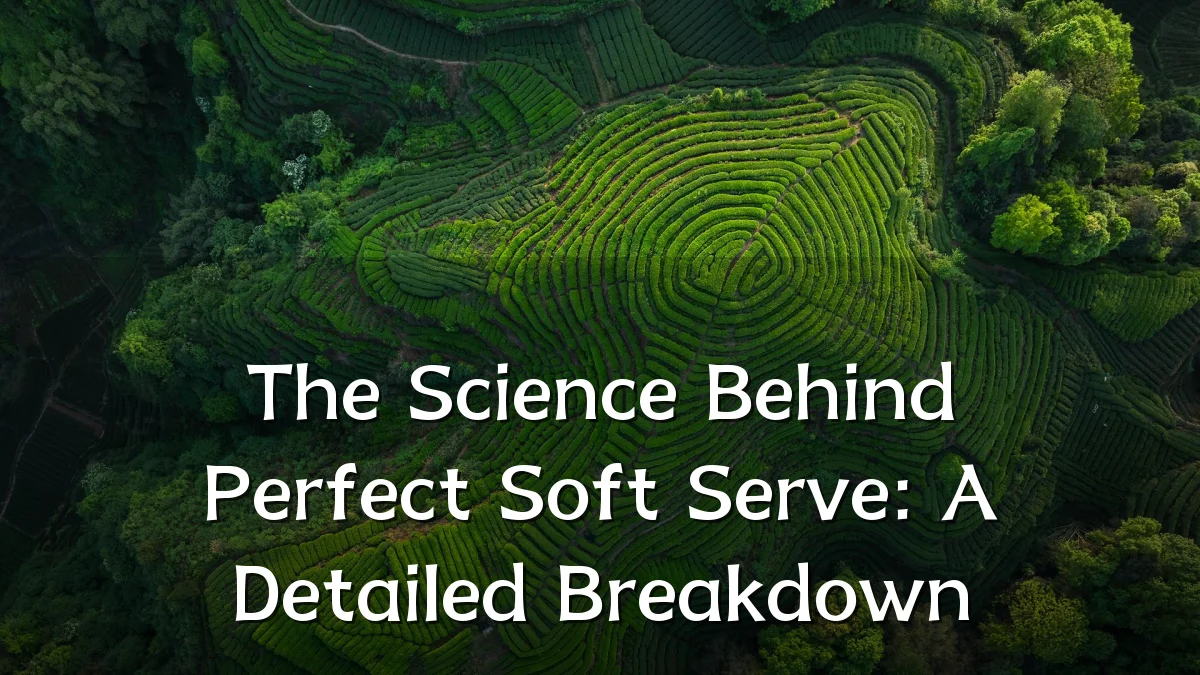 The Science Behind Perfect Soft Serve: A Detailed Breakdown