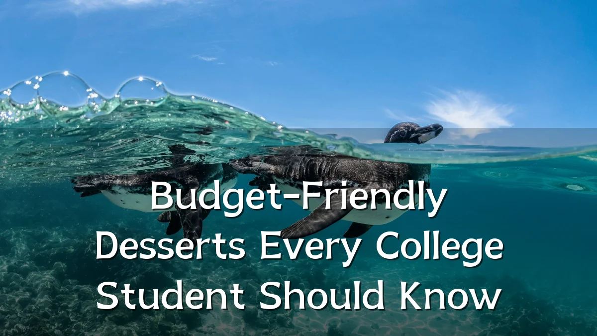 Budget-Friendly Desserts Every College Student Should Know