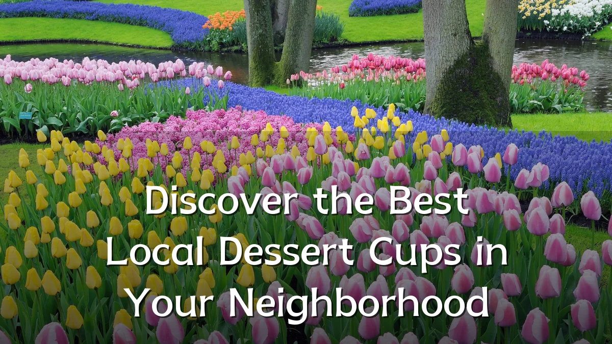 Discover the Best Local Dessert Cups in Your Neighborhood