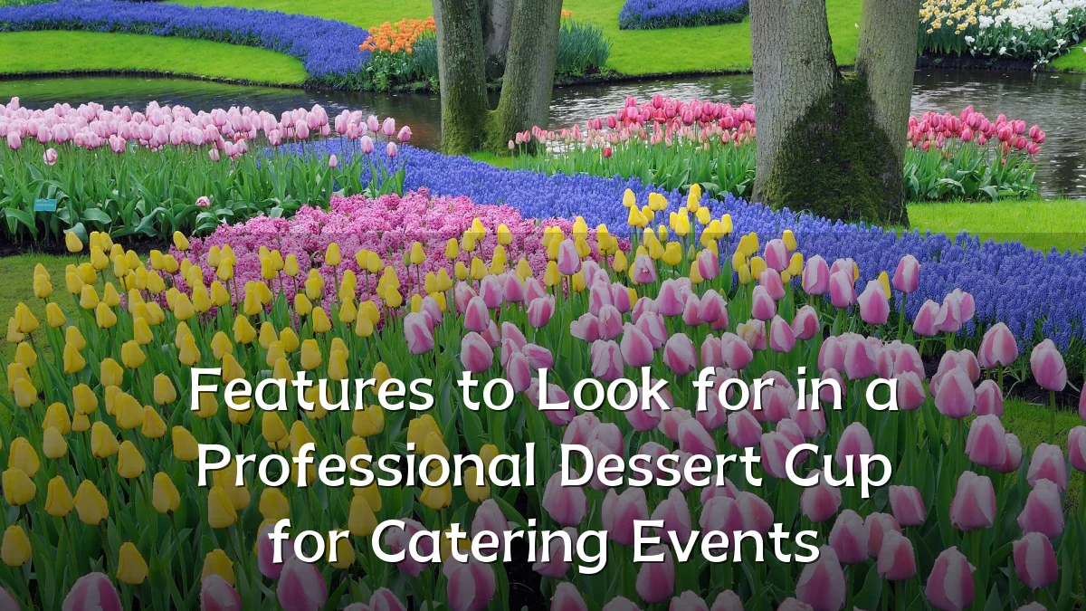 Features to Look for in a Professional Dessert Cup for Catering Events