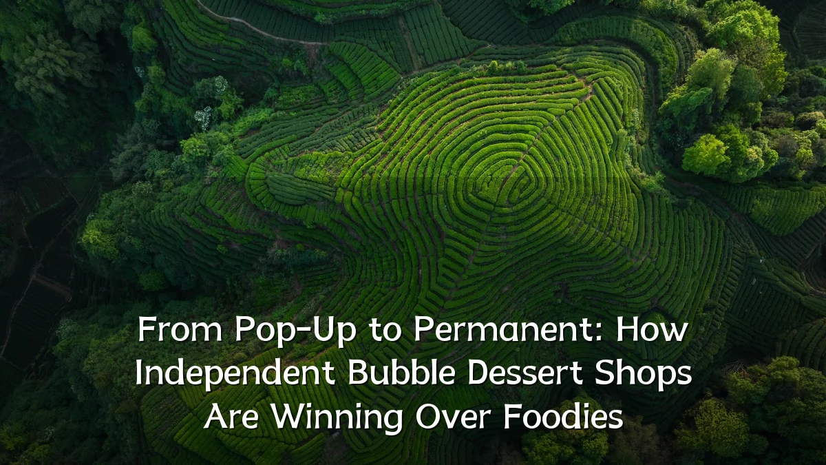 From Pop-Up to Permanent: How Independent Bubble Dessert Shops Are Winning Over Foodies
