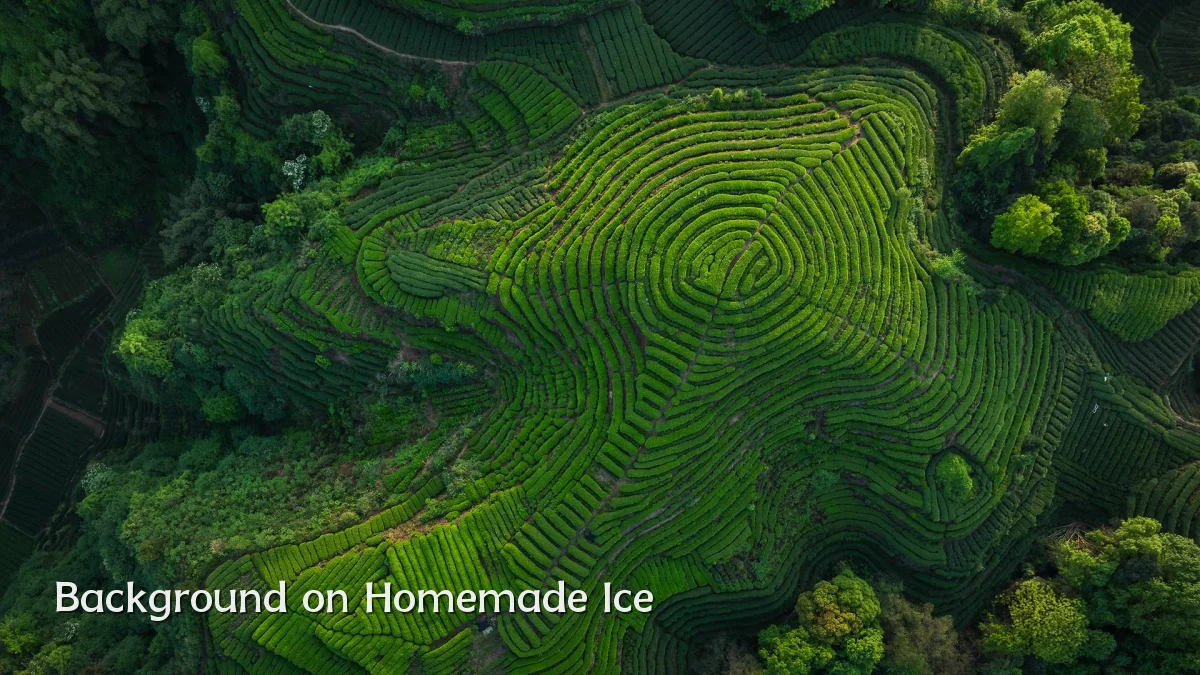 Background on Homemade Ice
