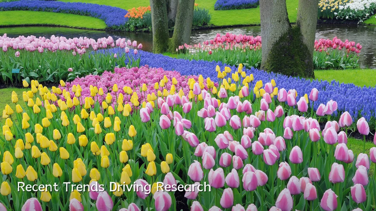 Recent Trends Driving Research