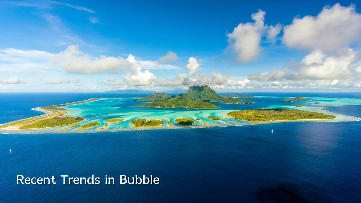 Recent Trends in Bubble