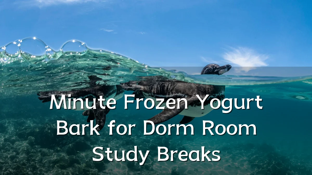 Minute Frozen Yogurt Bark for Dorm Room Study Breaks