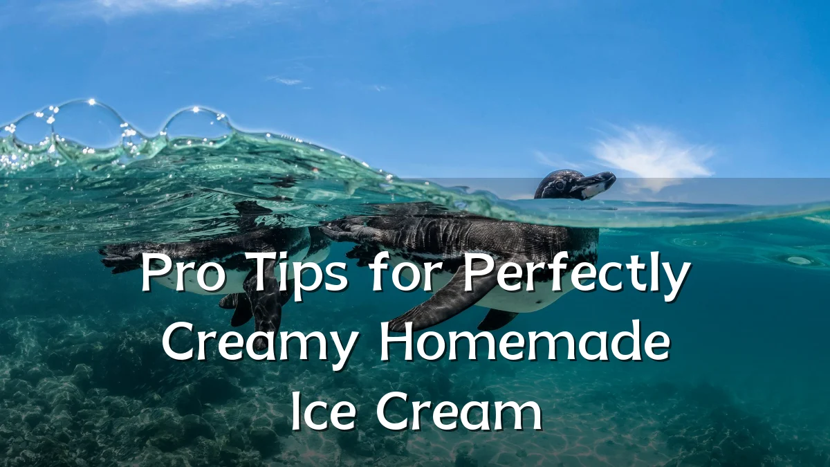 Pro Tips for Perfectly Creamy Homemade Ice Cream