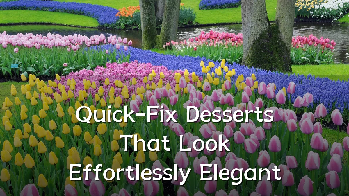 Quick-Fix Desserts That Look Effortlessly Elegant