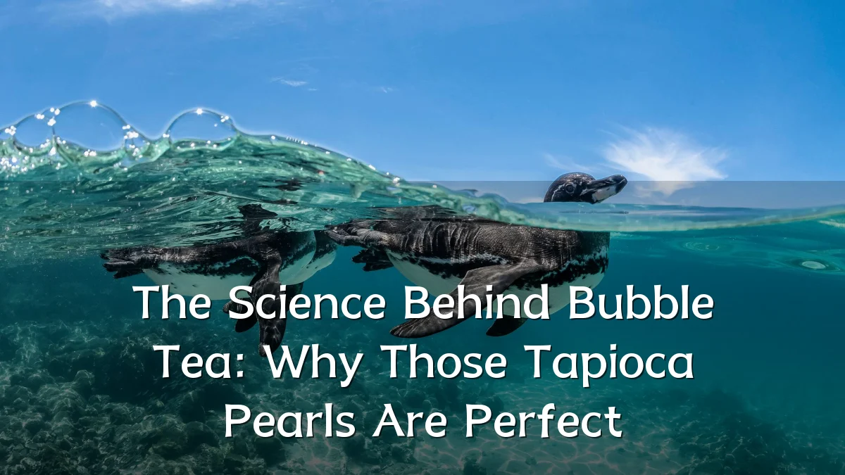 The Science Behind Bubble Tea: Why Those Tapioca Pearls Are Perfect