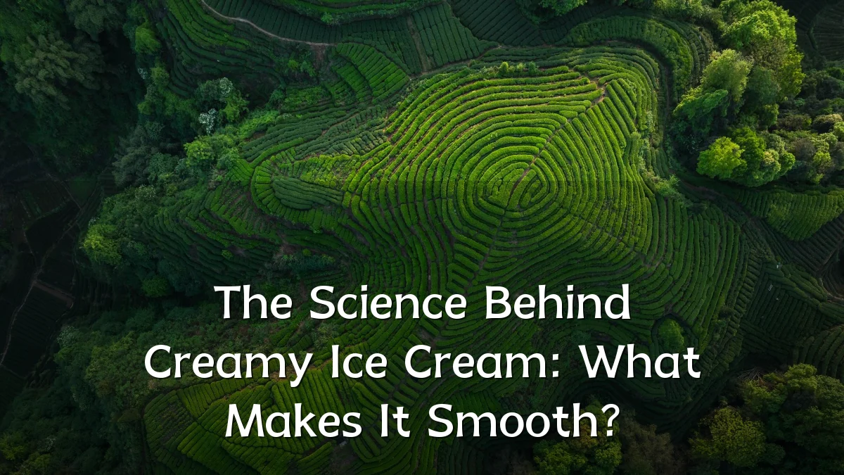 The Science Behind Creamy Ice Cream: What Makes It Smooth?