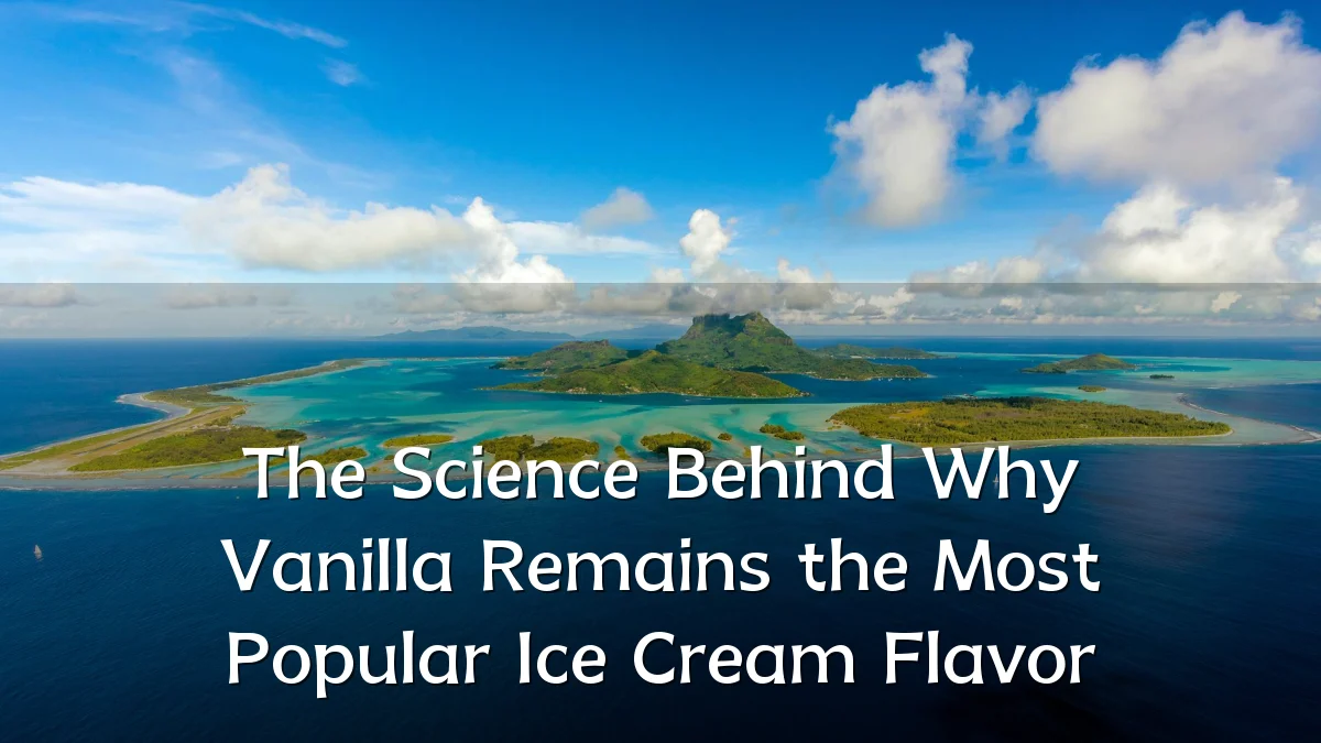 The Science Behind Why Vanilla Remains the Most Popular Ice Cream Flavor
