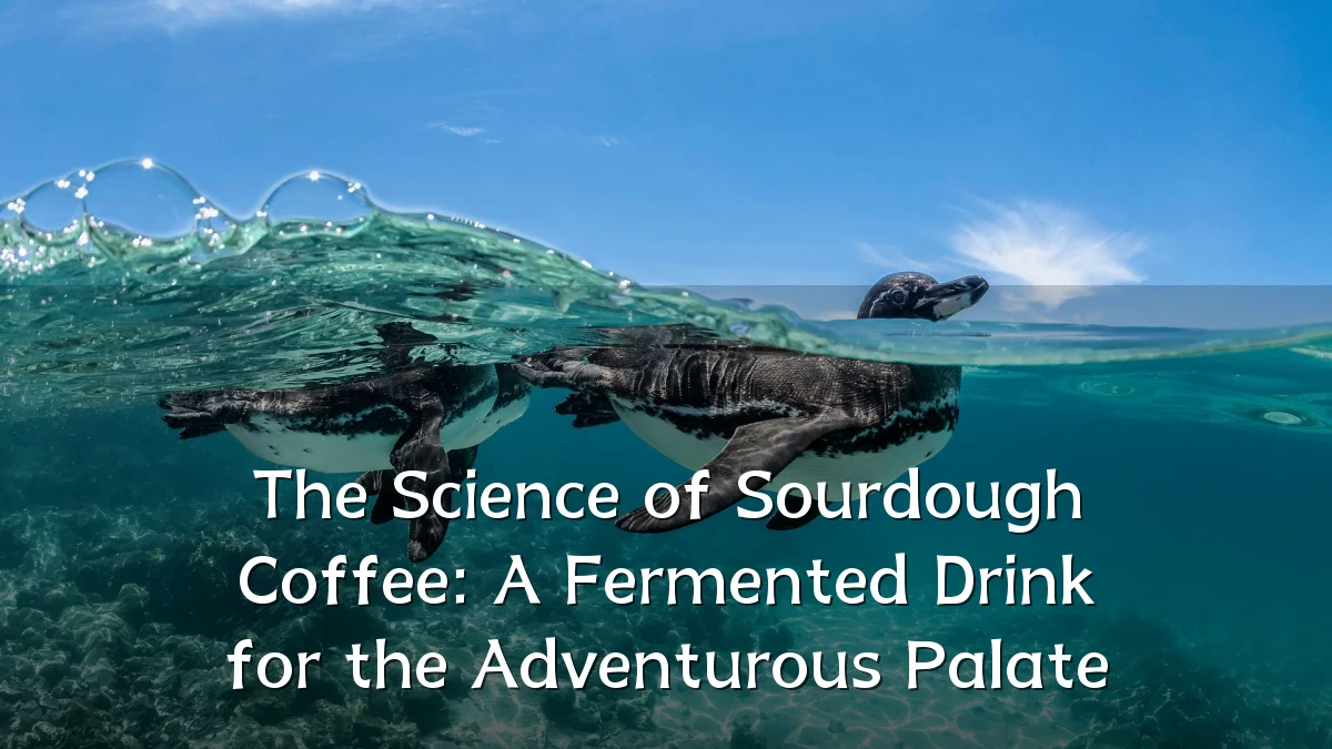 The Science of Sourdough Coffee: A Fermented Drink for the Adventurous Palate