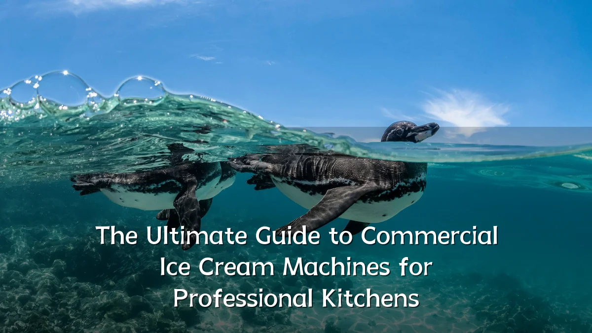 The Ultimate Guide to Commercial Ice Cream Machines for Professional Kitchens