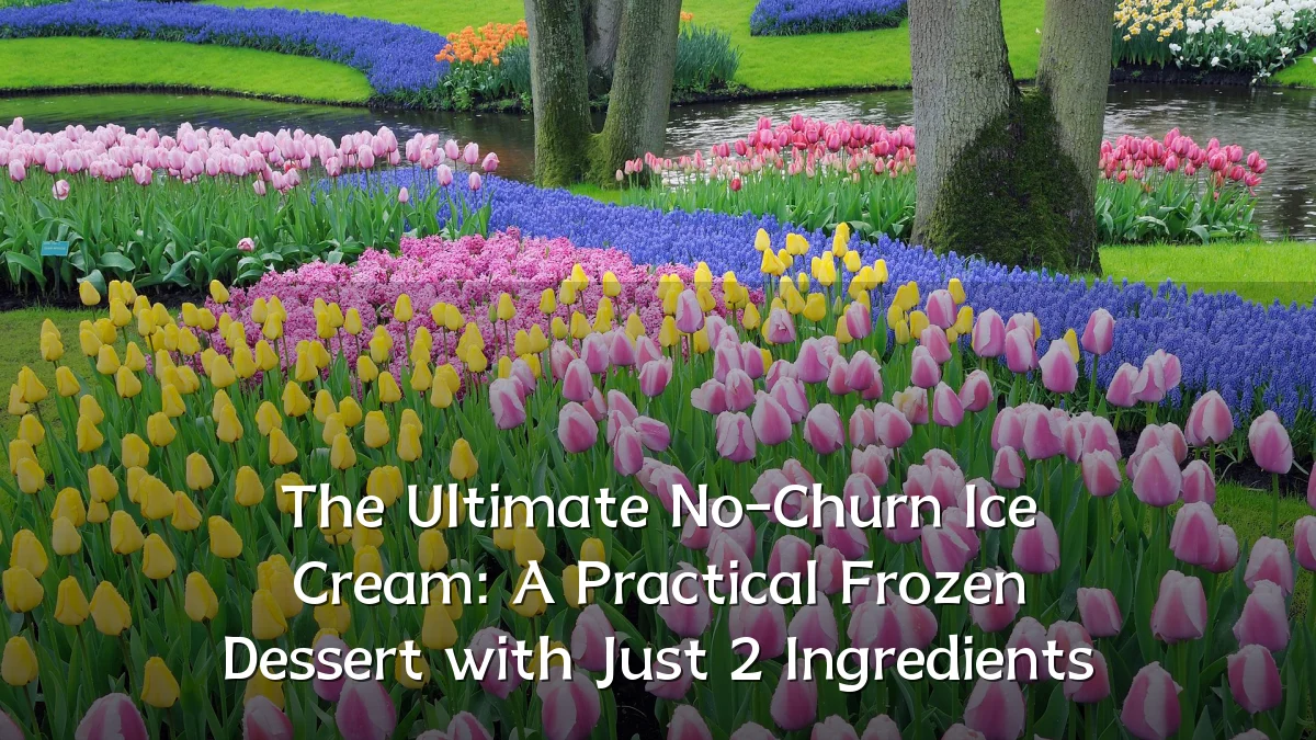 The Ultimate No-Churn Ice Cream: A Practical Frozen Dessert with Just 2 Ingredients