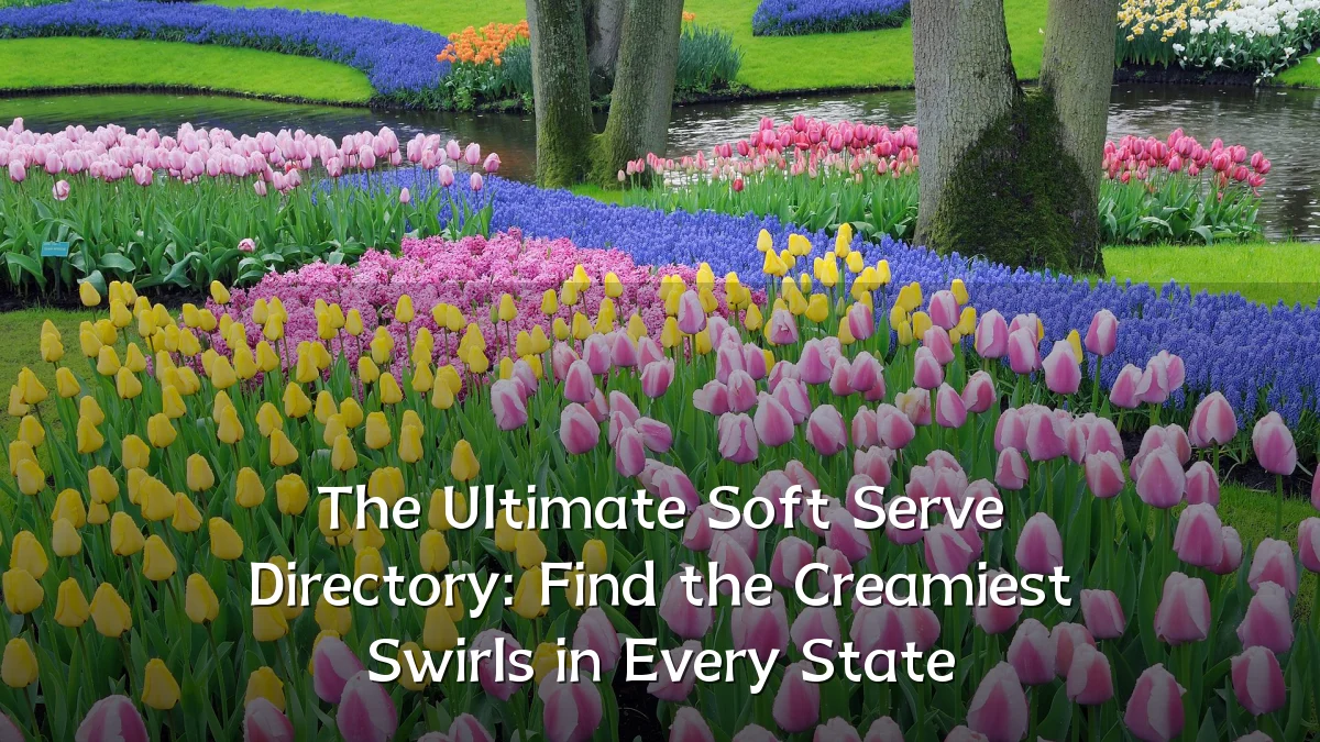 The Ultimate Soft Serve Directory: Find the Creamiest Swirls in Every State