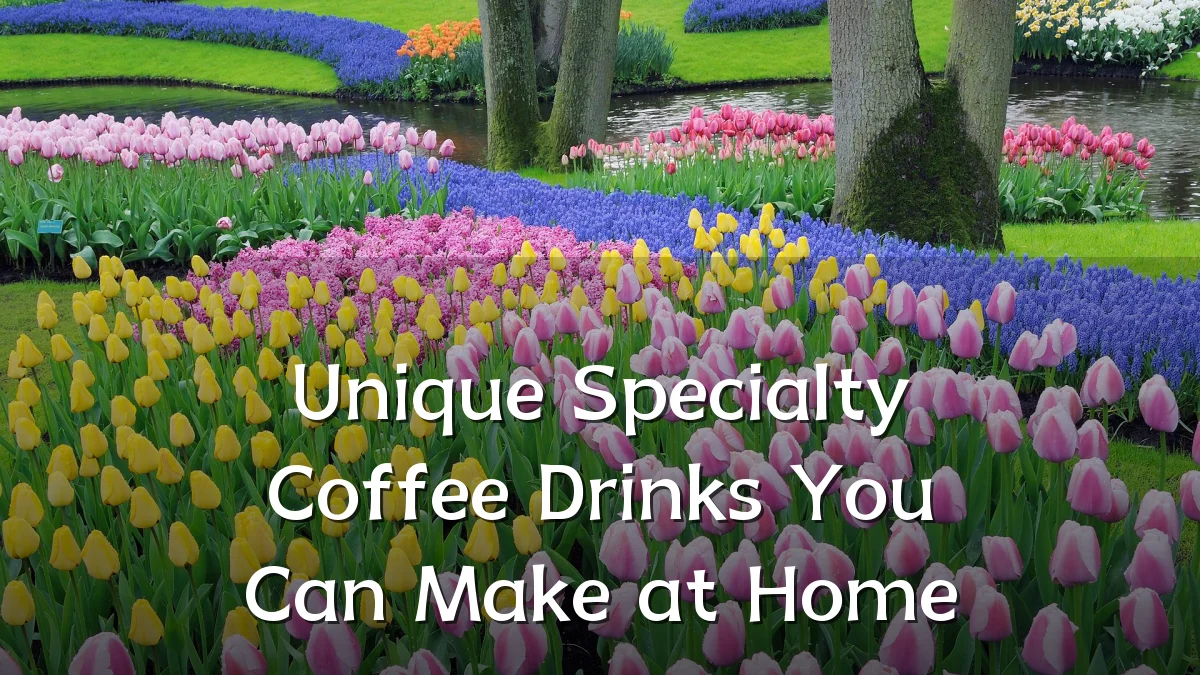 Unique Specialty Coffee Drinks You Can Make at Home