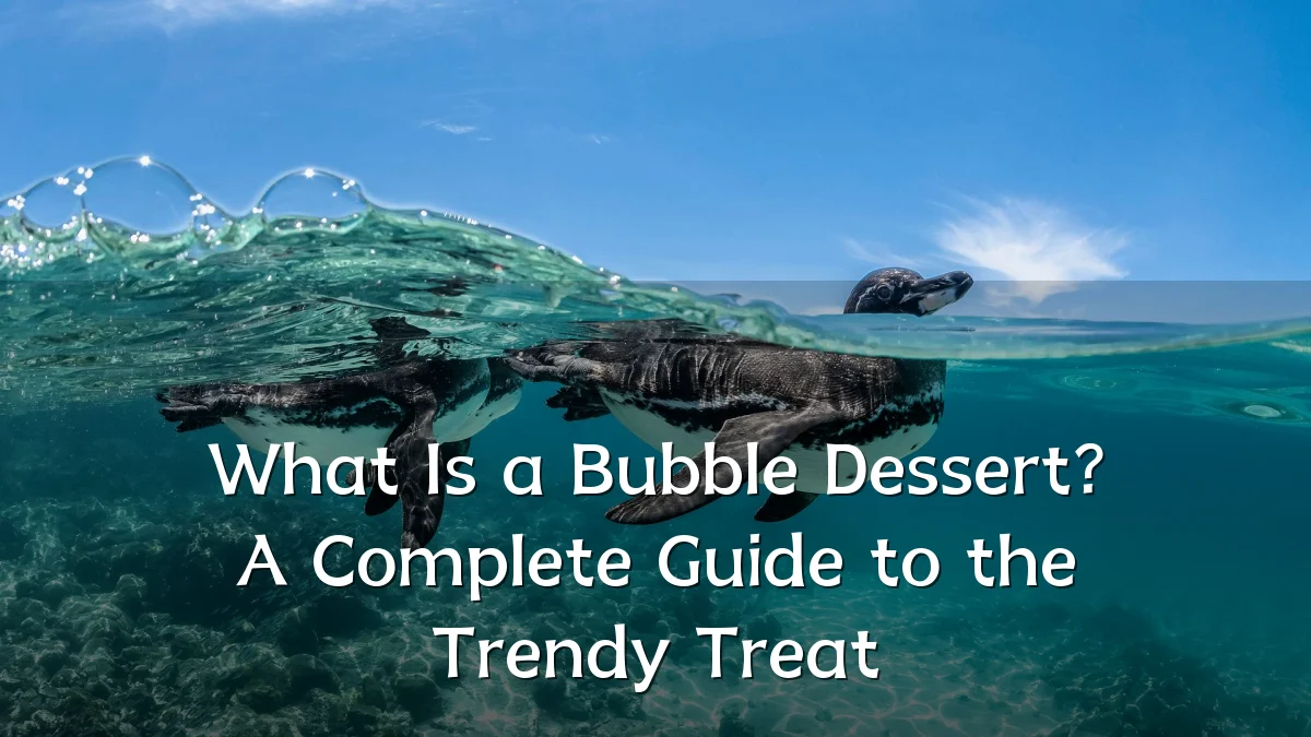 What Is a Bubble Dessert? A Complete Guide to the Trendy Treat