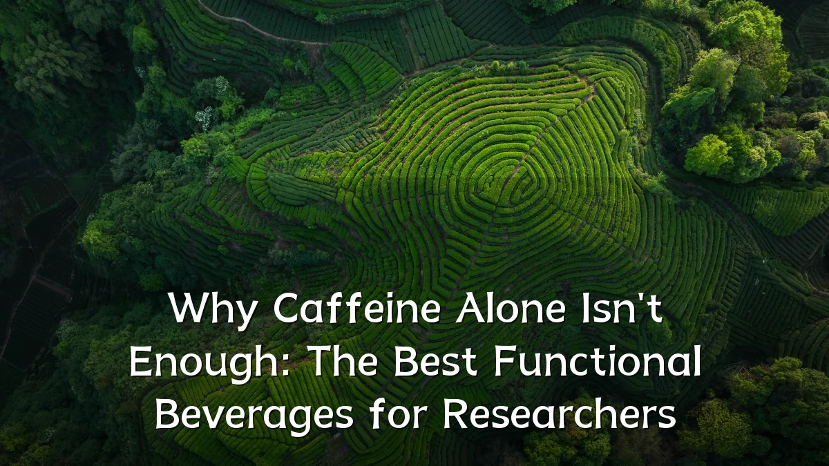 Why Caffeine Alone Isn't Enough: The Best Functional Beverages for Researchers